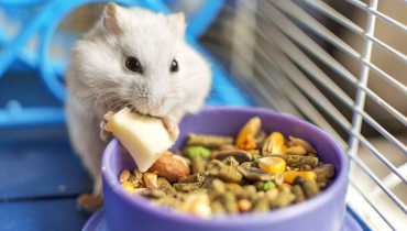 Packaging Food for Small Pets